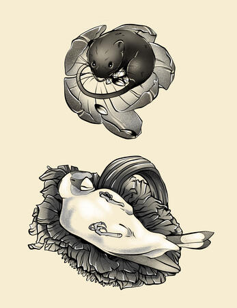 Cozy Critters